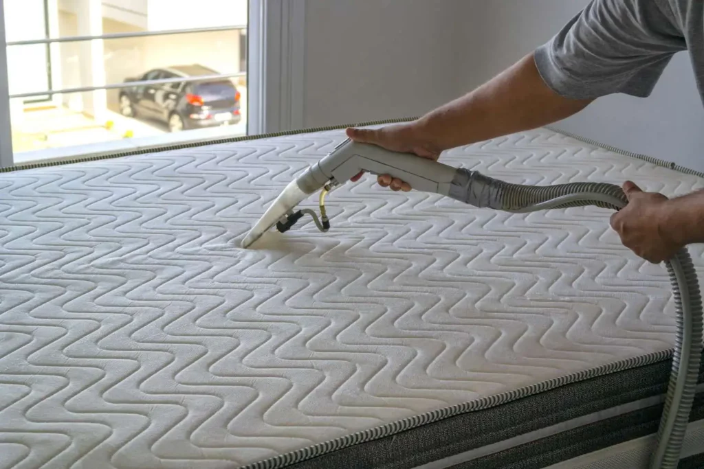 The Unseen World in Your Mattress: Why Regular Cleaning Matters